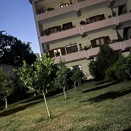 Daci House *
