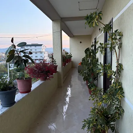 Daci House * Kamez
