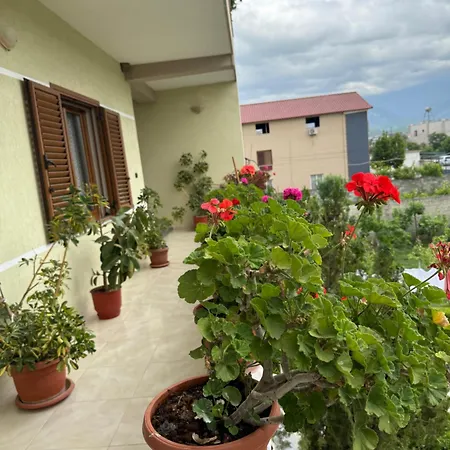 Daci House Kamez
